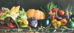 Fresh produce on counter with squash, corn, cabbage