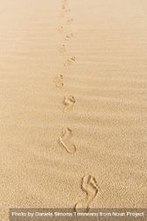 Footsteps on yellow sand 0gz3Ab