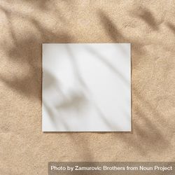 Sand with palm leaf shadows and central square 0LPEr0
