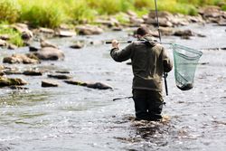 Fisherman Crossing River with Catch
