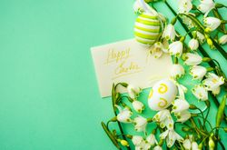 Snowdrops on green background with decorative Easter eggs and card