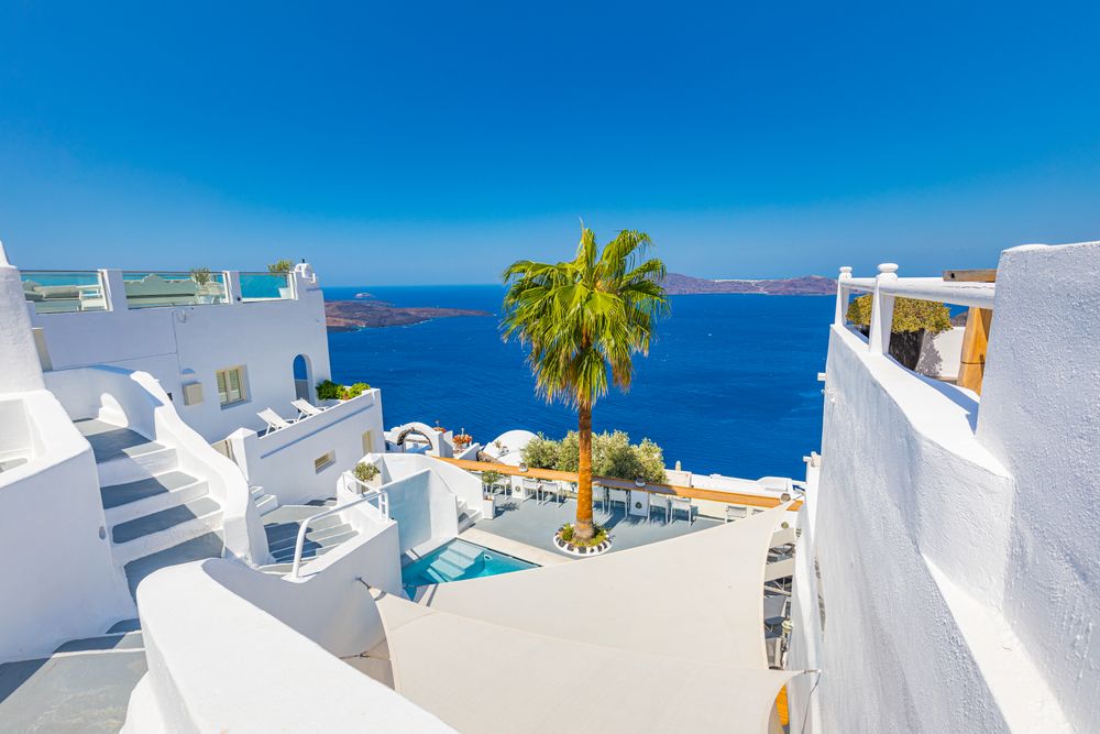 Palm tree in holiday villa in Santorini