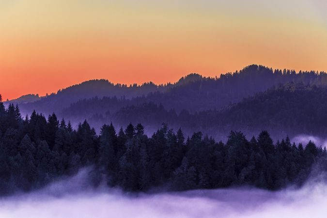 Orange sunset with purple hued forest