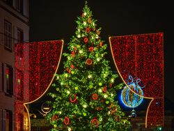 Christmas tree lit up at night in Alsace, France