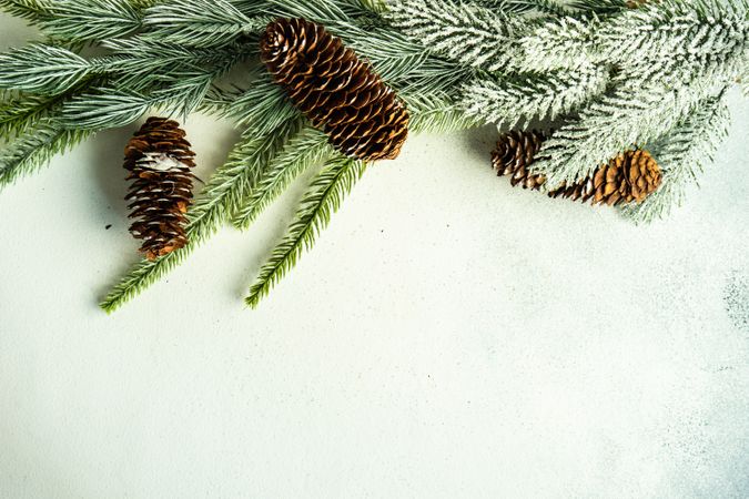 Pine branch with pine cones on marble counter