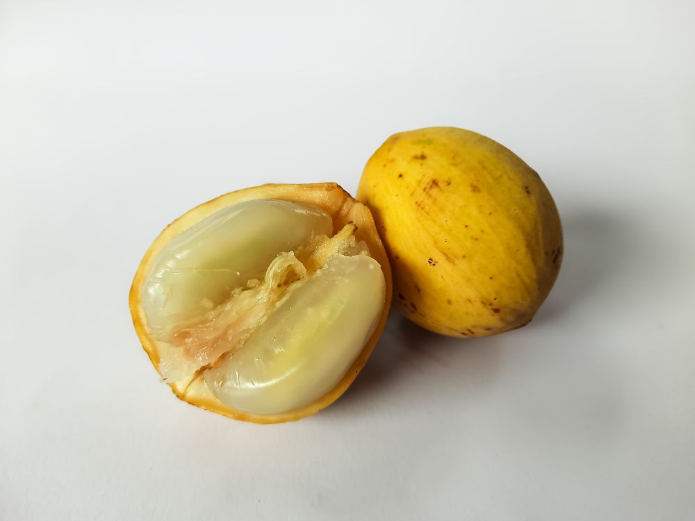 Fresh Duku Fruit with Open Half