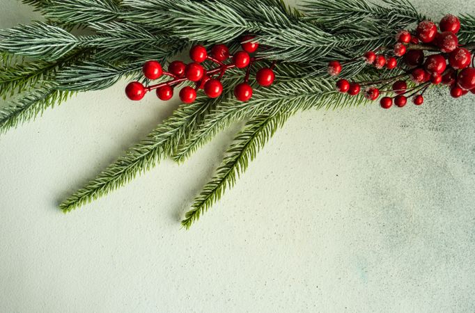 Pine branch with red Christmas berries on marble counter