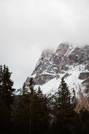 Big mountains near pine forest on cloudy weather