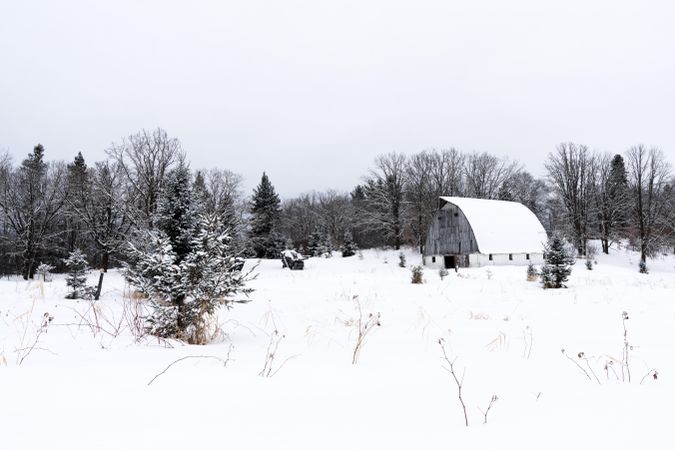 Abandoned farm building in the forest in the winter