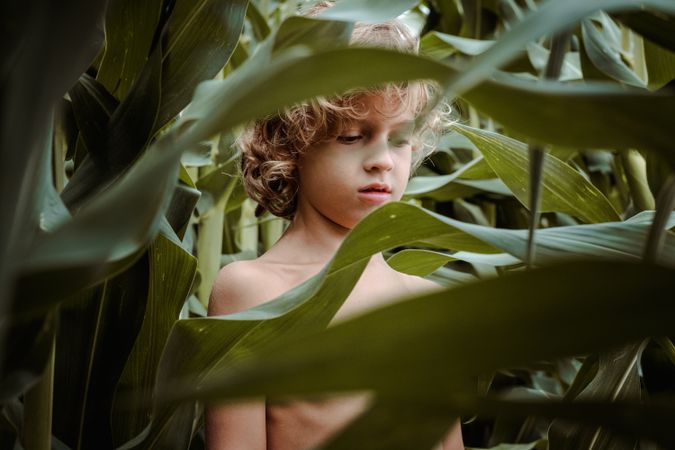 Dreamy boy among green leaves