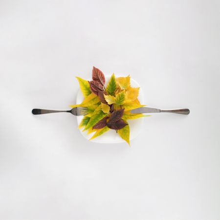 Pile of leaves on plate with knife and fork with copy space