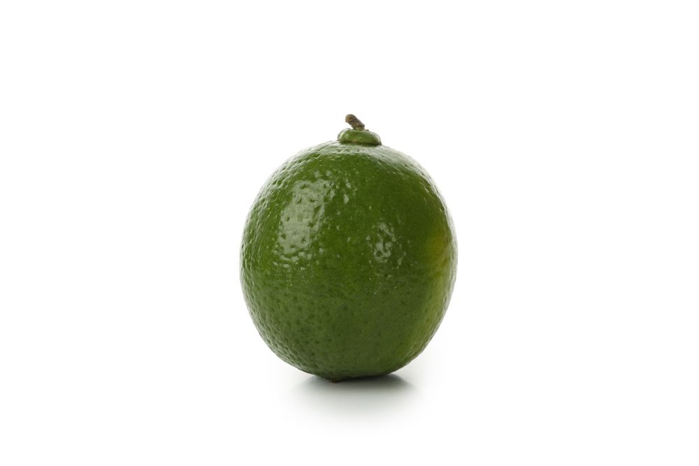 Fresh green avocado isolated on blank background