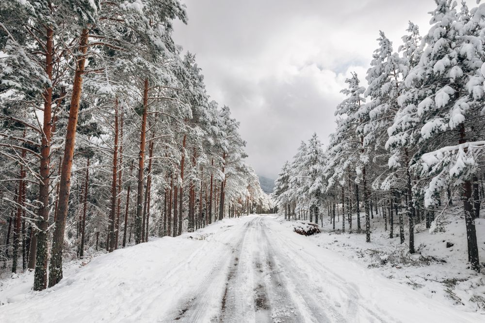 Winter snowy empty country road