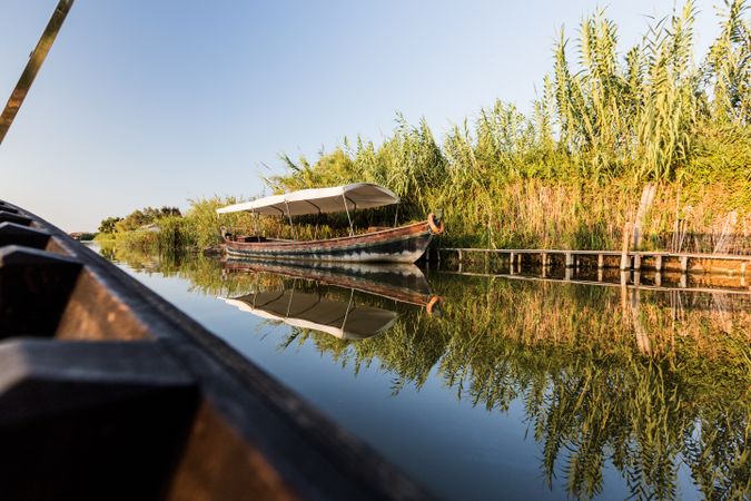 Side of modern boat sailing along rural shore