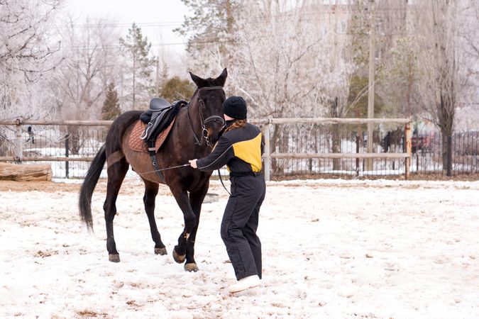 Person leading a lively horse in snow. Dressage.