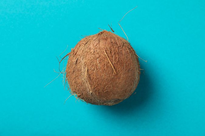 Whole coconut on blue background, top view