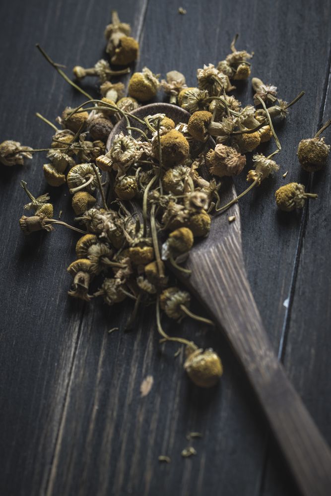 Spoonful of dried chamomile on wooden table