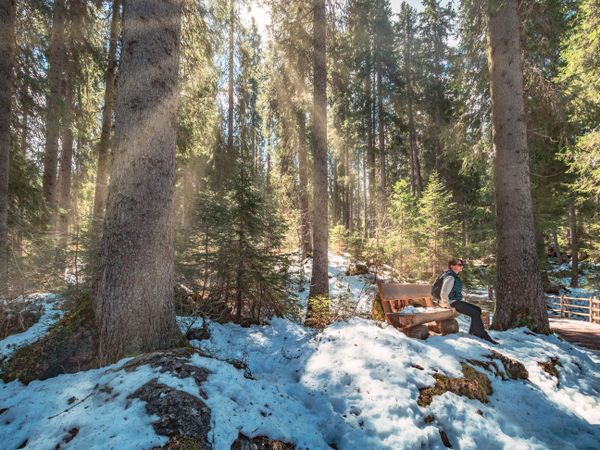 Woman sitting on bench and looking at sun rays passing through trees
