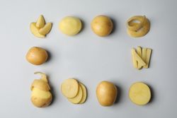 Potatoes cut in different ways in square shape, copy space