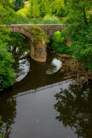 Tranquil river in green vegetation with aged bridge