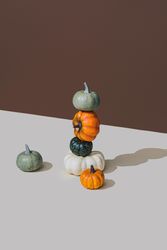 Autumnal retro still life with seasonal squash variety