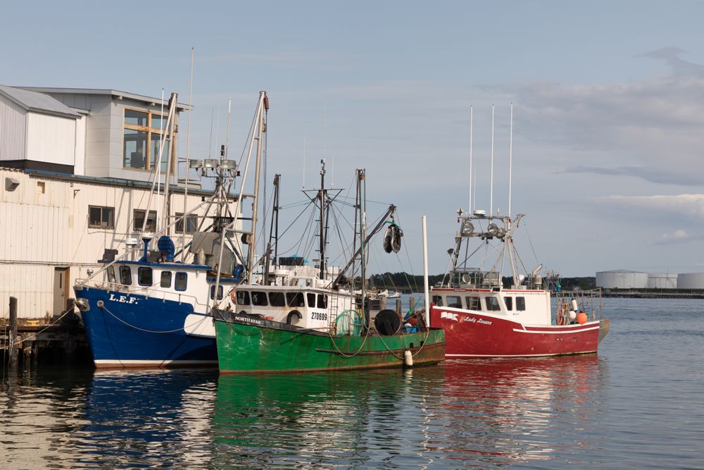 Scene at the busy harbor on Casco Bay in Portland, Maine