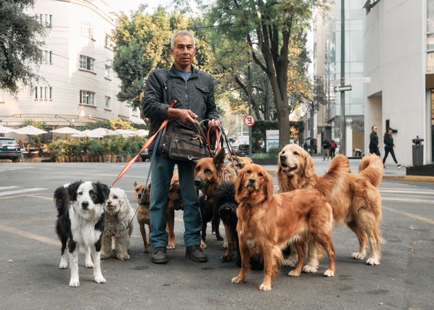 Dogwalker in Mexico City