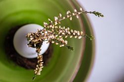 Top view of Easter table setting with decorative egg, with heather on green plate