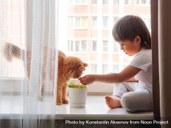 Child with fluffy domestic cat bxvWa5