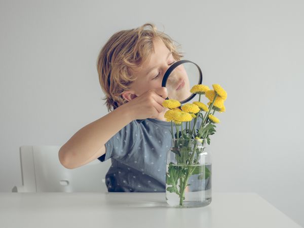 Little boy with magnifier and flowers