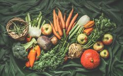 Various harvest vegetables from garden: green beans, pumpkin, apples, broccoli, carrots, kale, fennel, paprika.