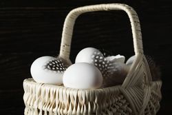 Concept of fresh and natural farm product - eggs