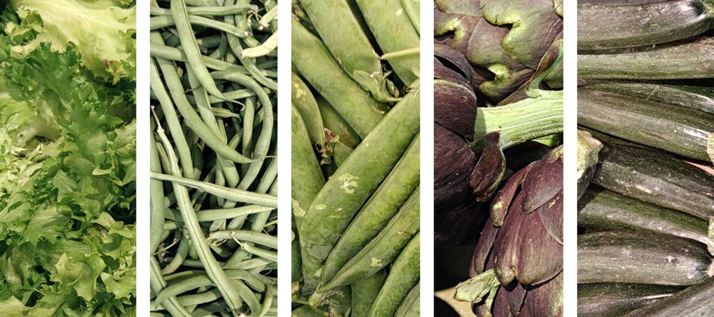 Colorful Vegetables Collage On Background