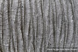 Grey wooden texture like elephant skin 4Zee9A