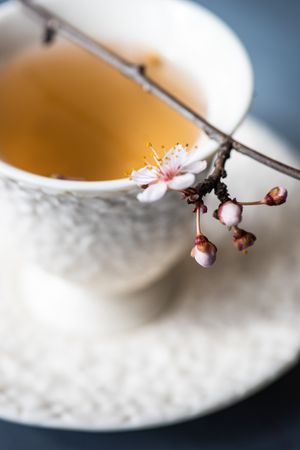 Close up of tea and blooming branch garnish