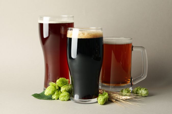 Beer and green hop on gray background