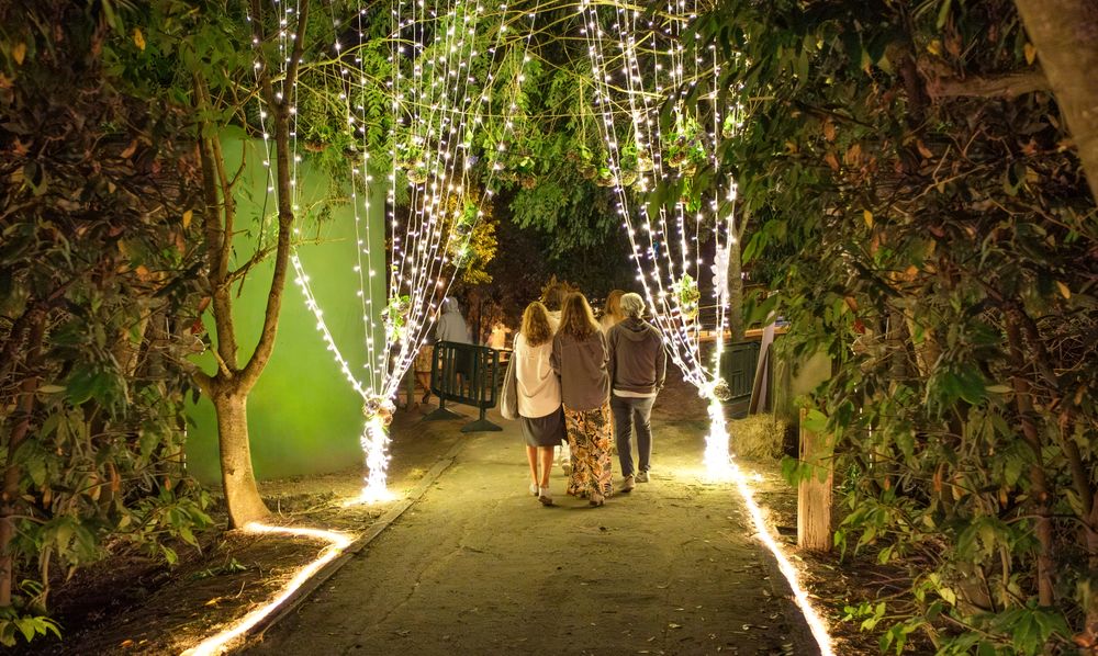 Friends group walking for pathway on a summer night music festival in nature