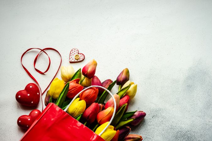 Tulips in shopping bag with red ribbons on grey counter