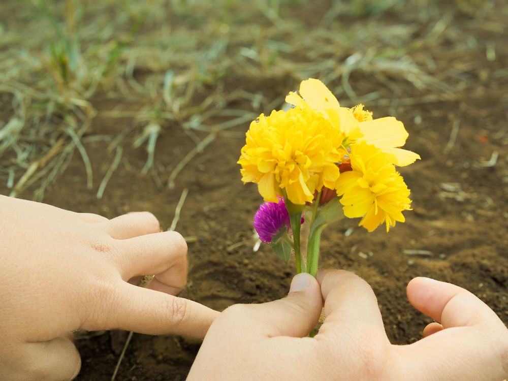 Child planting flowers