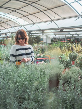 Female choosing plants for garden on flower market
