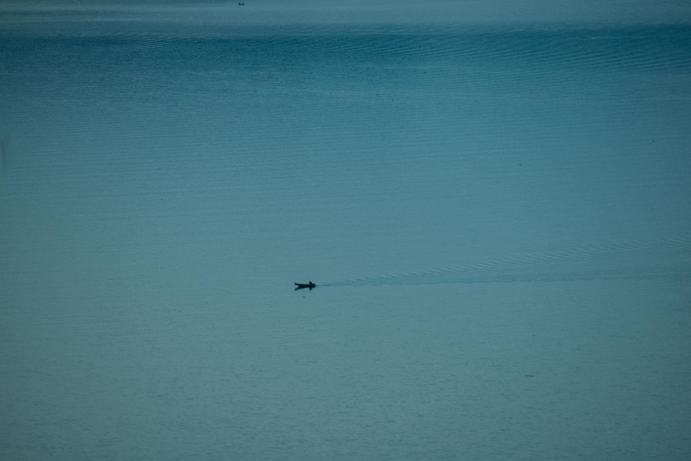 Aerial view of boat floating on sea