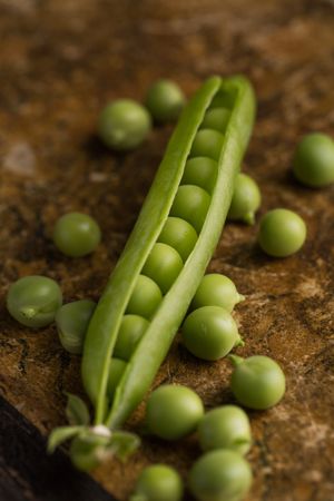 Fresh peas and pea pods on dark background