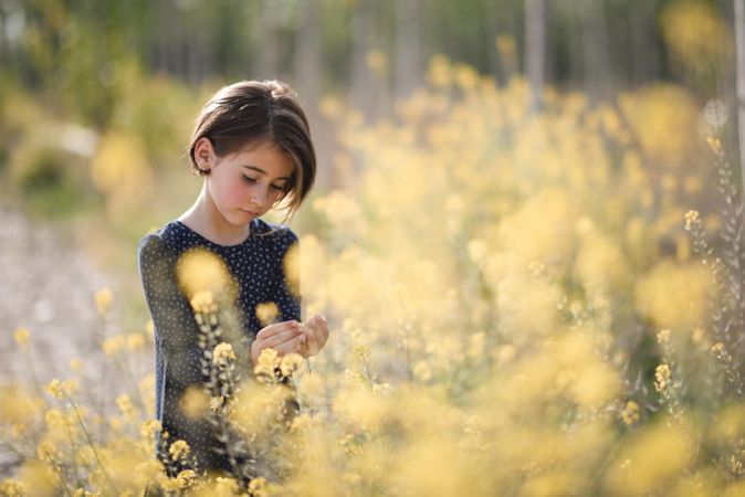 Child in dress looking down at yellow bushes of flowers