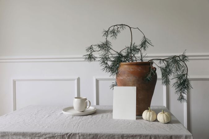 Pine tree branches in vase, little light pumpkins and cup of coffee with blank greeting card