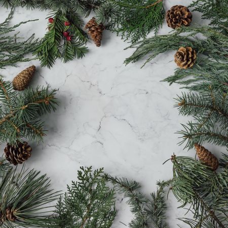 Winter foliage with pine cones bordering marble background