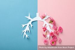 Lung bronchus made of paper and flowers on blue and pink background 48xLq4