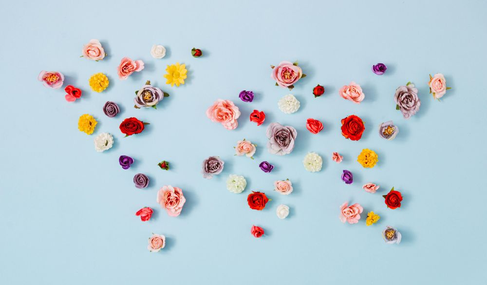 Roses in shape of world map with blue background