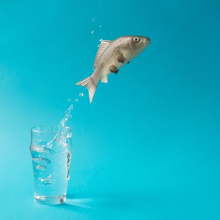 Fish jumping out of glass of water