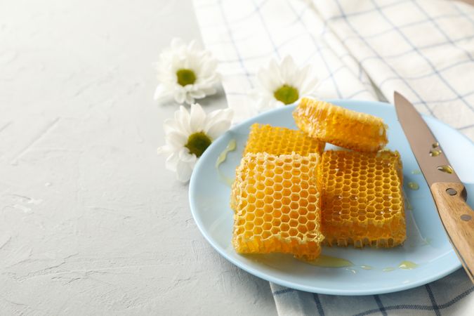 Plate with honeycombs and knife on neutral background, space for text