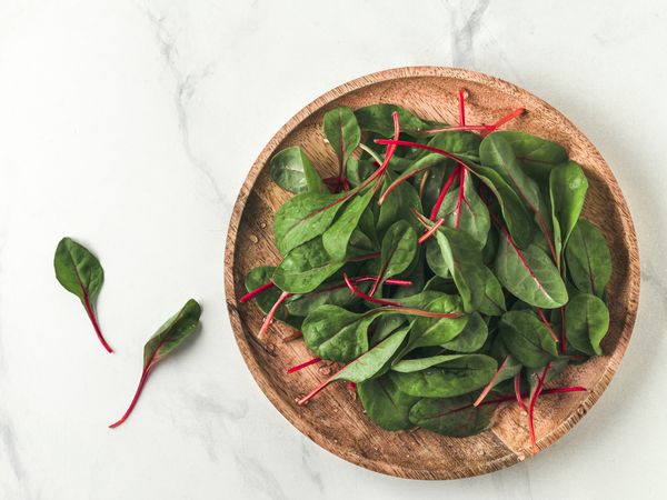 Fresh salad of green chard leaves or mangold